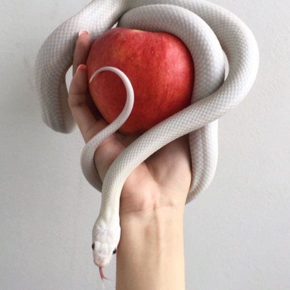 Meet your Posher, Cierra